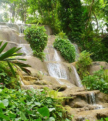 Konoko Gardens & Waterfalls Tour