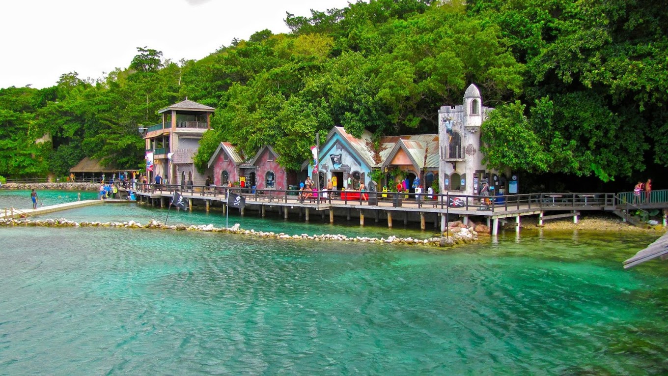 dolphin-cove-jamaica