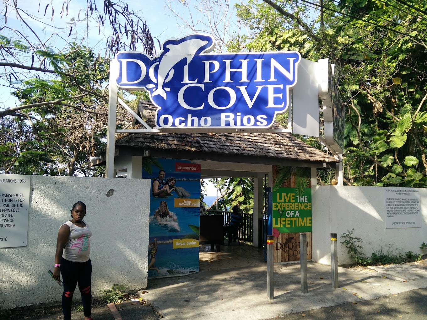 dolphin-cove-ocho-rios-FRONT